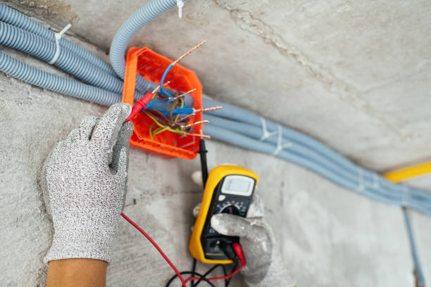 Best Licensed Electrician  in Cedar Grove, WI